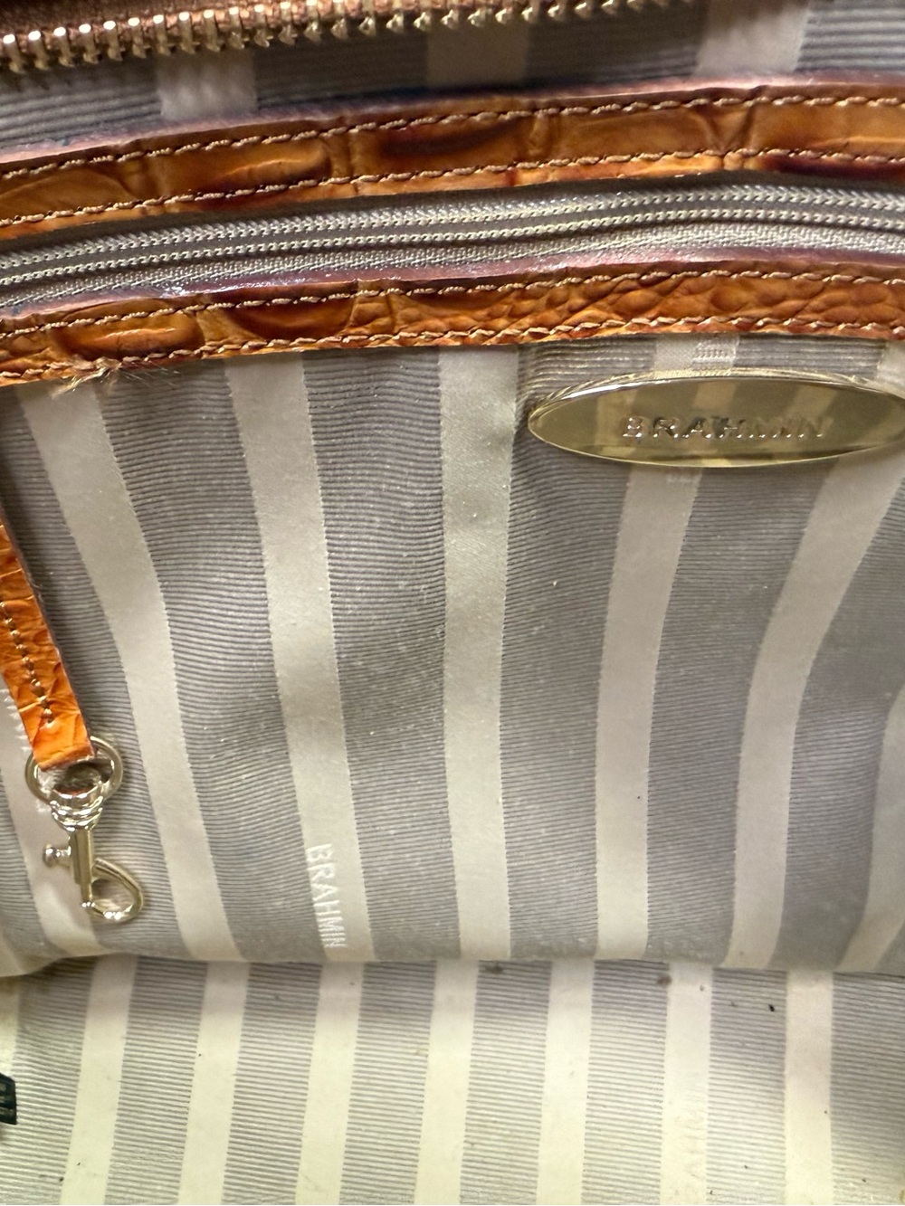 Brahmin Medium Asher Tote Bag in a Multi-Color Python Printed Leather - Picture 11 of 12